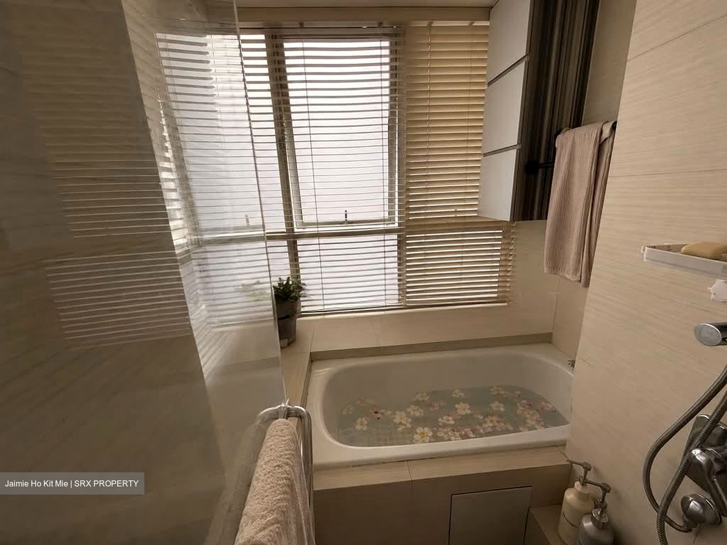 Oasis @ Elias (D18), Condominium #575807051